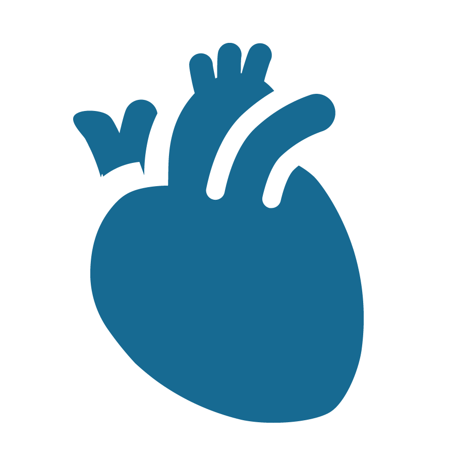 Elasto Cardiovasc